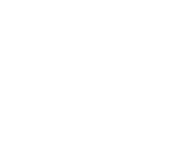 LogoRio